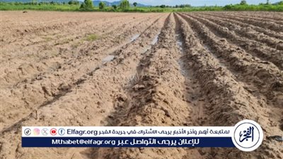 لمواجهة التحديات الزراعية.. تفاصيل مشروع حقن التربة الرملية بالطين (فيديو)