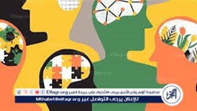 مفهوم العلوم الاجتماعية والإنسانية: فهم وأهمية