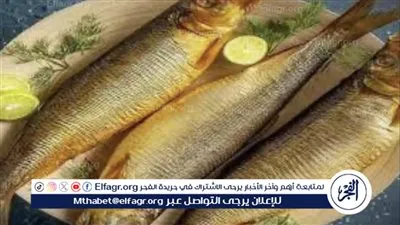 قبيل عيد الفطر.. أسعار الرنجة والأسماك المملحة في مصر 