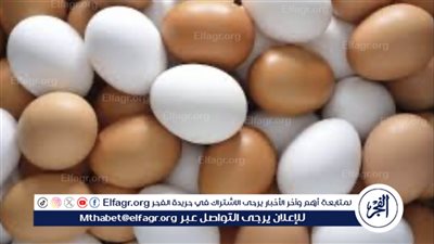 استقرار أسعار كرتونة البيض في الأسواق المصرية بعد قرارات الحكومة