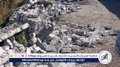 تفاصيل حملات إزالة التعديات والبناء المخالف في 4 مراكز بالدقهلية 