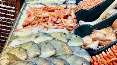 أسعار الأسماك اليوم الأحد بمحافظة أسيوط