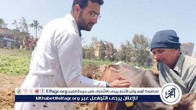 محافظ الدقهلية: تحصين 120623 رأس ماشية والحملة مستمرة لمدة شهر لتحقيق المستهدف