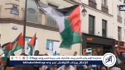 وقفة احتجاجية أمام وزارة الخارجية في باريس بسبب غزة (فيديو)