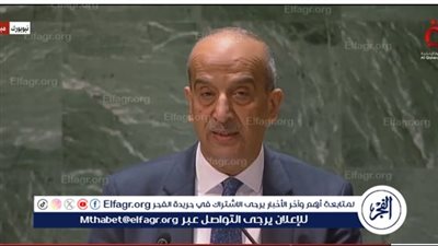 مندوب مصر بالأمم المتحدة: يجب إصلاح مجلس الأمن الدولي