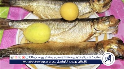 اقتراب عيد الفطر: ارتفاع أسعار الأسماك المملحة في الأسواق المصرية