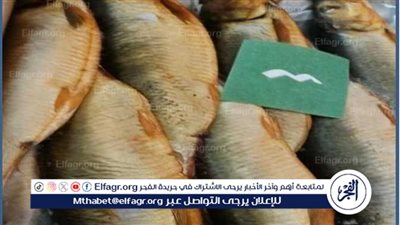 اكلة العيد المفضل للمصريين..تعرف على أسعار الرنجة والفسيخ في عيد الفطر 2024