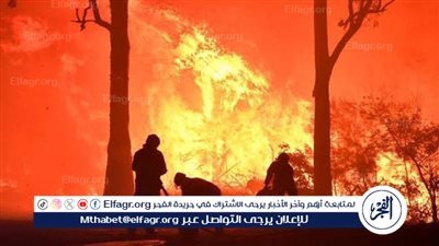 تعرف على عقوبة إشعال النيران عمدا فى محصود الزرع