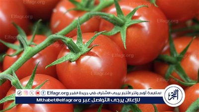 ما هي الفوائد الصحية للطماطم ؟