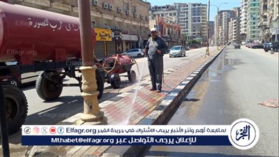 حملات نظافة مكبرة ترفع 2500 طن قمامة في الدقهلية