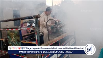 قرى بني سويف تشكو من انتشار الذباب والباعوض.. والمحليات تواجهها بالضباب الحراري (صور)
