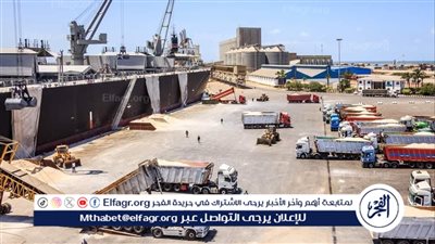  التجار يخسرون بسبب التلاعب في القيمة الاستيرادية.. (شعبة المستوردين تجيب)