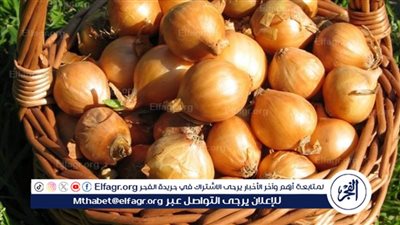 أسعار الخضروات والفاكهة اليوم في مصر.. هل تتأثر بفواصل فترات الانتقال بين المحاصيل الموسمية وعودة التصدير؟