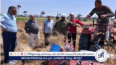 لأول مرة.. استخدام المعدات الحديثة في حصاد محصول القمح ببني سويف (صور)