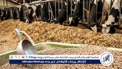 أسعار العلف اليوم الإثنين الموافق 15 من أبريل 2024