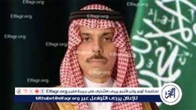 وزير الخارجية ونظيره الصيني يبحثان تطورات الأوضاع في قطاع غزة ومحيطها