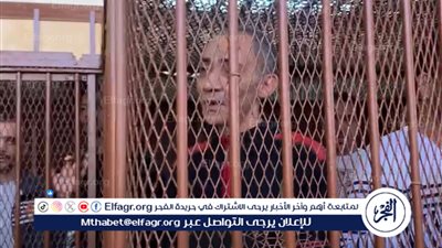 إحالة أوراق المتهم بهتك عرض صغيرتين حملتا منه سفاحا ببورسعيد للمفتي