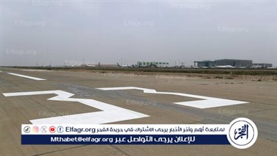 وزارة النقل العراقية توضح حقيقة فيديو الكلاب الشاردة في مطار بغداد الدولي