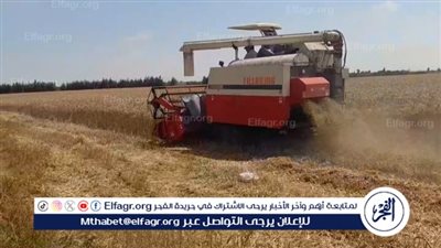 محافظ الإسماعيلية يتابع بدء استلام القمح المحلي لموسم 2024 بصومعة القنطرة شرق