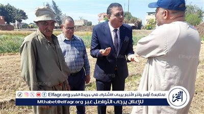 وكيل زراعة المنوفية: الانتهاء من حصاد 7242 فدان قمح وتوريد 680 طنا و376 كيلو بجهات التوريد 