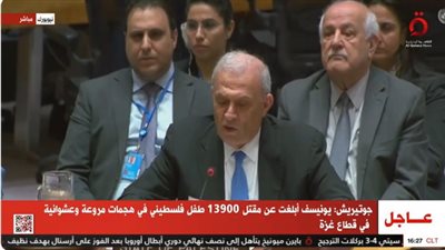 ممثل الرئيس الفلسطيني بالأمم المتحدة: شعبنا دوما ضحية وقرارات دولية لم تكن له يد فيها (فيديو)