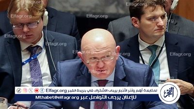 نيبينزيا: كل فيتو أمريكي ضد وقف إطلاق النار في غزة يتسبب بمقتل آلاف الفلسطينيين