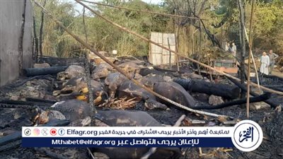 نفوق 22 ماشية إثر نشوب حريق في حظيرة مواشي بالمنوفية