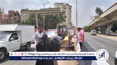 رفع 570 طن قمامة من شوارع وميادين المنطقة المركزية في الدقهلية