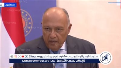 عاجل| شكري: هناك مقترح مطروح بشأن الوصول لهدنة بغزة.. وعلى الجانبين دراسته