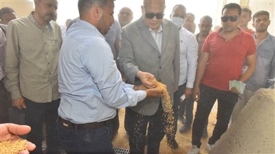 محافظ أسيوط: استمرار أعمال حصاد محصول القمح وتوريد 1525طنا