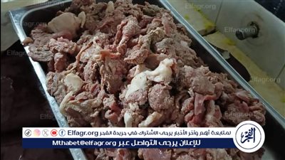 ضبط نصف طن لحوم فاسدة قبل استعمالها بأحد المطاعم بدمياط.. صور 