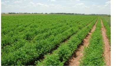 توصيات عاجلة من 