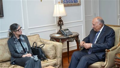 عاجل| المقررة الأممية تثمن الدور المحوري لمصر للحد من الأزمة في غزة