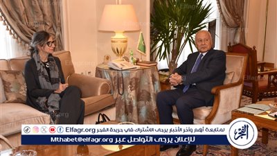 أبو الغيط: إسرائيل تسعى لكتم الأصوات التي تتحدث باستقلالية حول مذبحة غزة