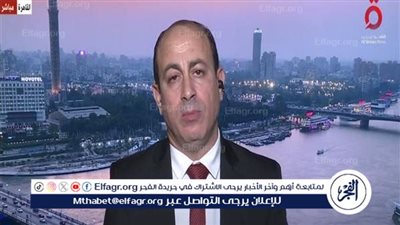 أستاذ علوم سياسية: مصر لم تتوقف لحظة عن دعم القضية الفلسطينية(فيديو)