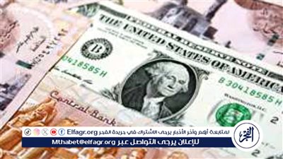 بكام يا أخضر انهاردة.. سعر الدولار صباح تعاملات اليوم الجمعة 26 أبريل 2024 في مصر