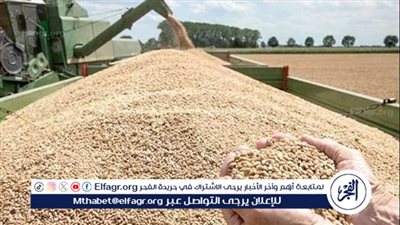 تموين الأقصر: توريد 287 طن قمح باسنا جنوب المحافظة 