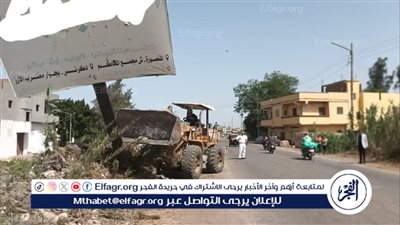 حملة مكبرة لإزالة الإعلانات العشوائية وغير المرخصة بالدقهلية