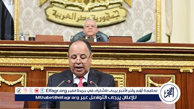 وزير المالية أمام 