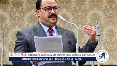 برلماني: قانون التأمين الموحد يستهدف تحقيق التنمية المستدامة في مصر