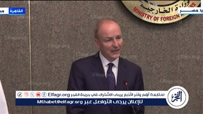 وزير الخارجية الأيرلندي: نثمن جهود مصر لوقف إطلاق النار في غزة (فيديو)