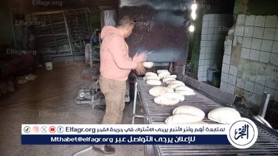 311 محضرا حررتها حملات اللجان الخماسية والتموين للرقابة على الأسواق بالدقهلية 