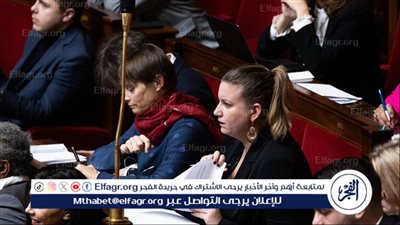 القضاء الفرنسي يستدعي مجموعة من النواب الداعمين لفلسطين بتهمة الترويج للإرهاب
