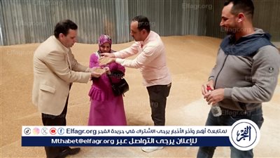 تموين الإسكندرية: توريد 503 طن من الأقماح المحلية 