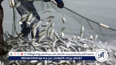 عاجل:- تطبيق قرار حظر الصيد في البحر الأحمر