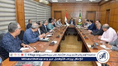 حصر المشكلات المتعلقة بالكهرباء في المنطقة الصناعية وحلها بالدقهلية