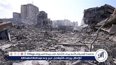 خبير علاقات دولية: إقامة دولة فلسطينية السبيل الوحيد لتحقيق الأمن والاستقرار بالمنطقة (فيديو)