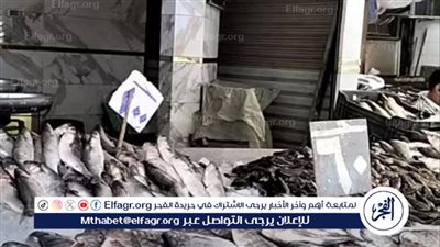 بعد بورسعيد.. حملة جديدة لمقاطعة الأسماك في هذه المنطقة (فيديو)