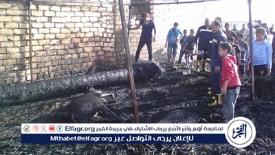 السيطرة على حريق حظيرتي مواشي ببني سويف