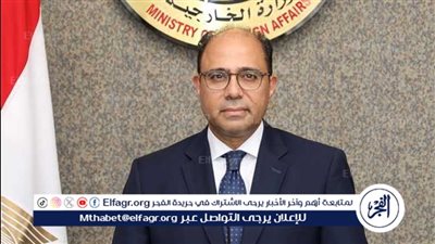 أحمد أبو زيد: قرار البرلمان الأوروبي يمثل ضغطًا على إسرائيل والدول المترددة بشأن الوضع في غزة